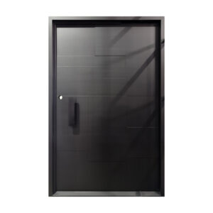Pivot Steel Door USA
